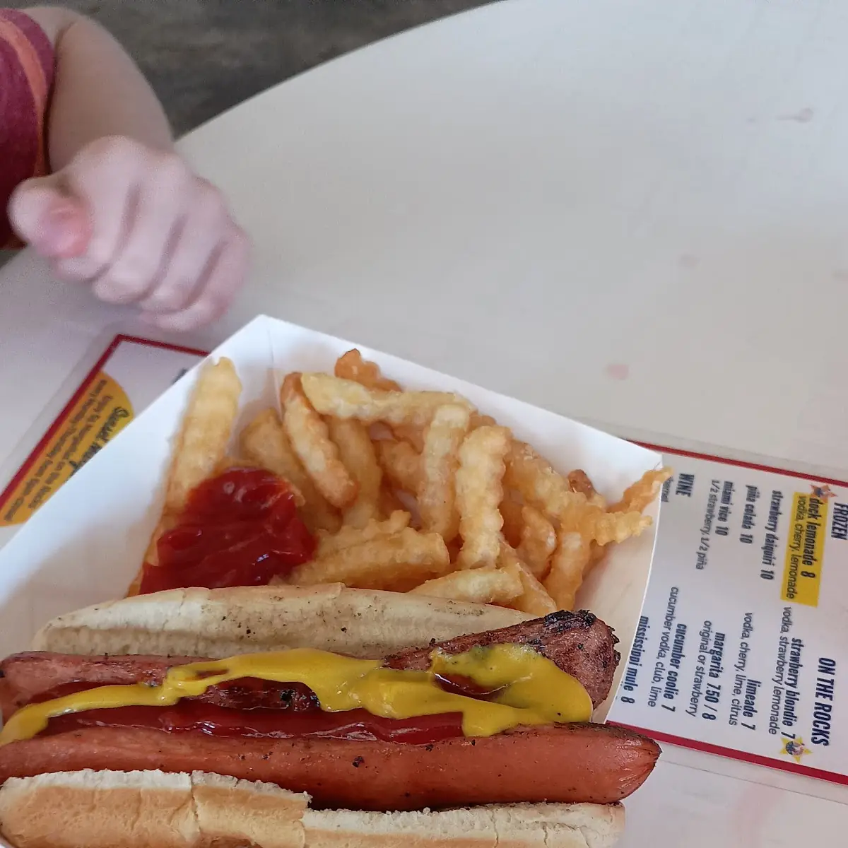 Hot Dog and Fries