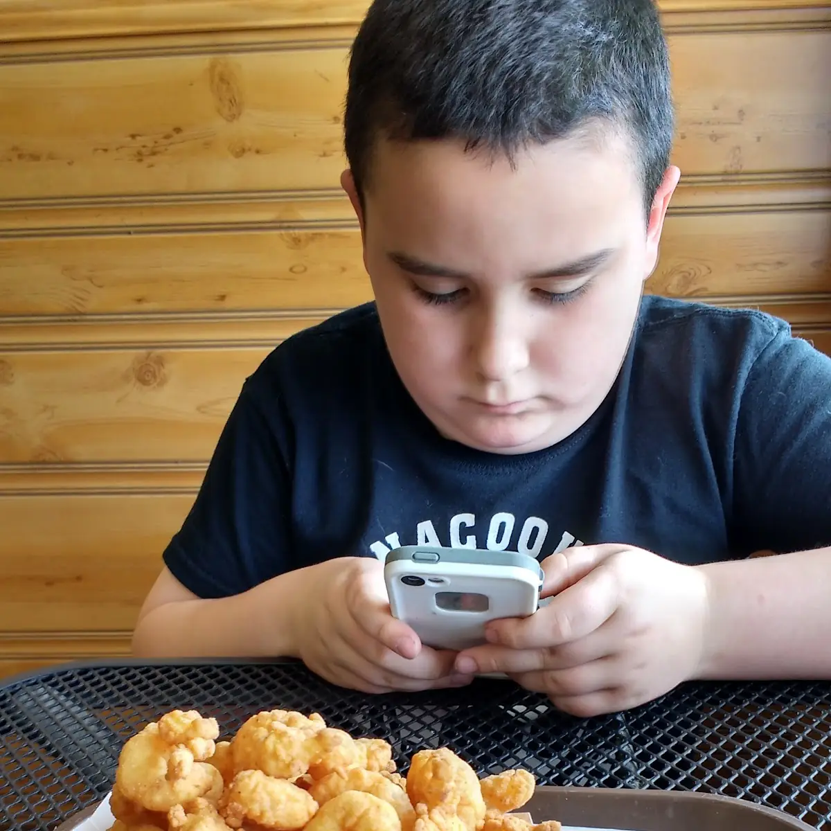 Fried Shrimp