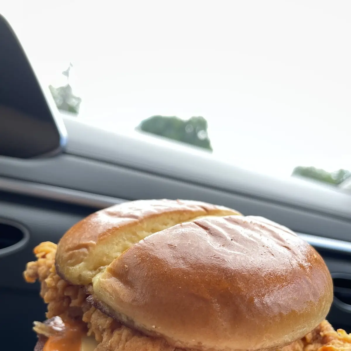 Spicy Sandwich