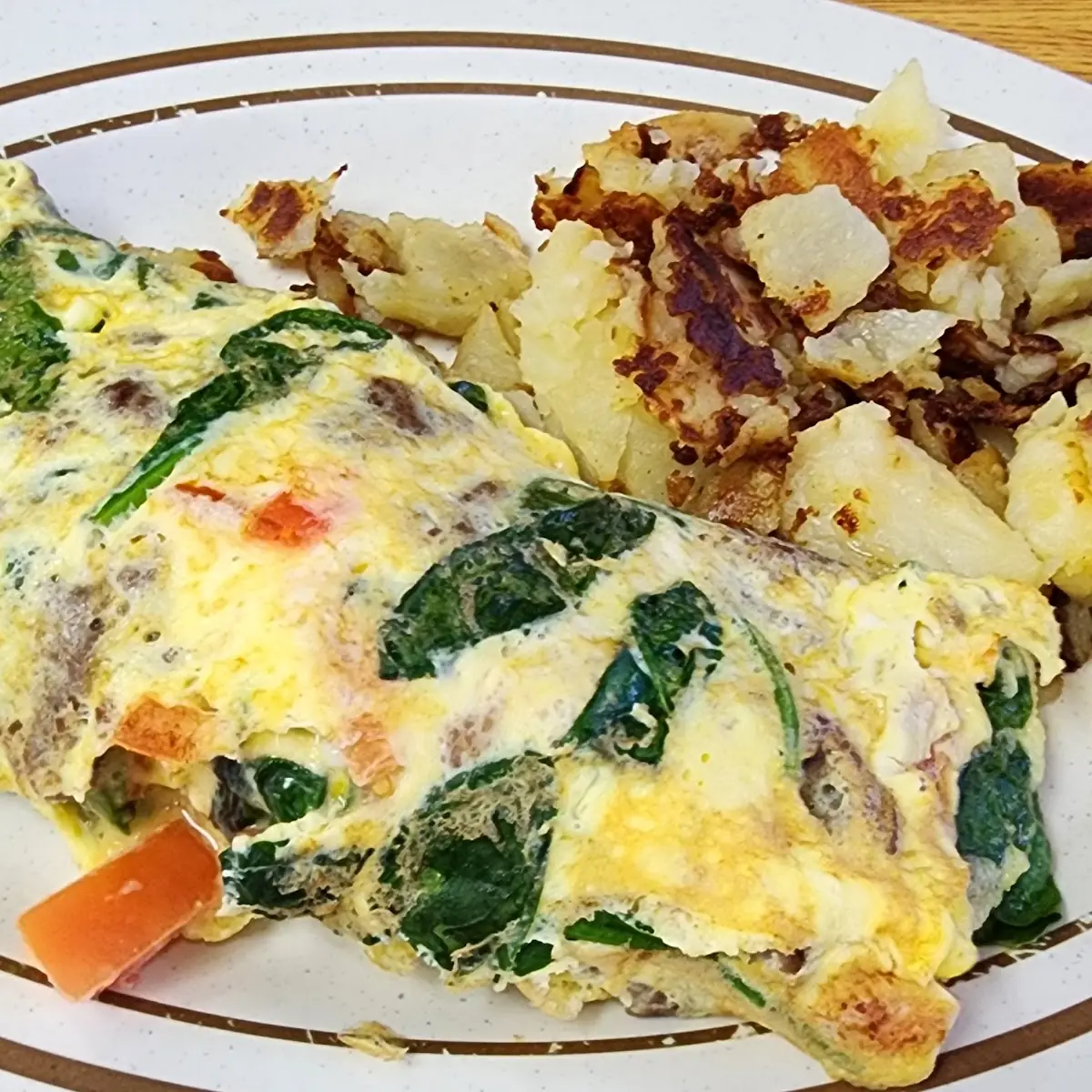 Gyro Omelette