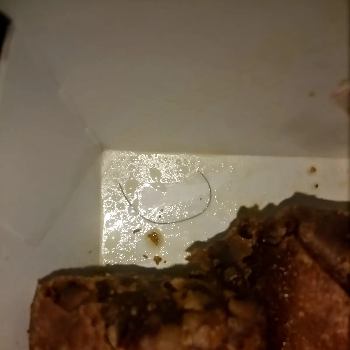 Hair in Burnt Egg Roll Box
