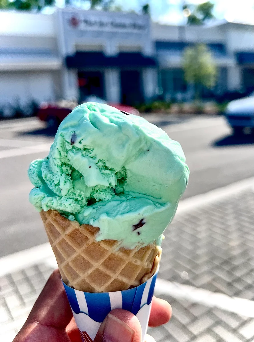 Mint Chocolate Chip in a Cone