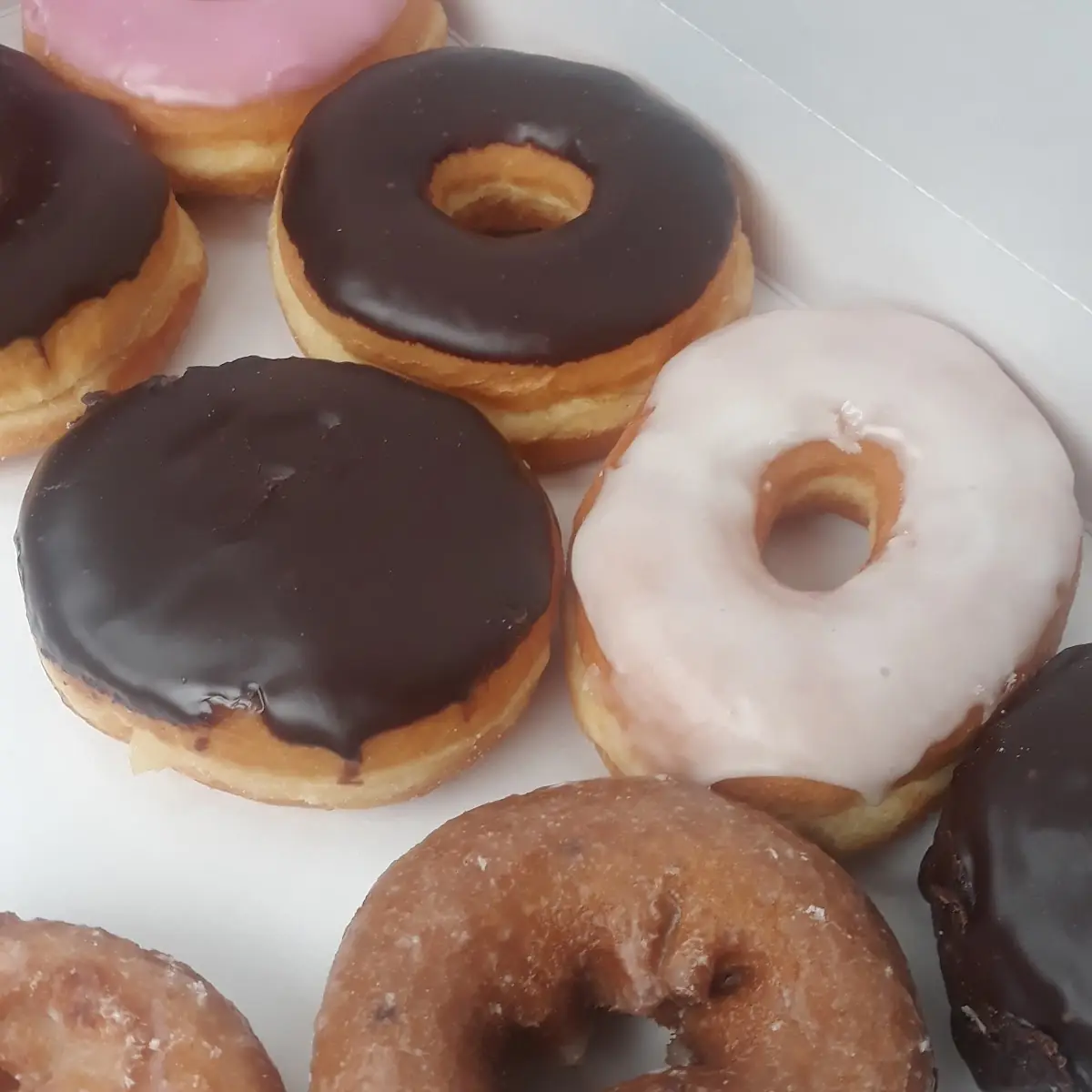 Doughnut