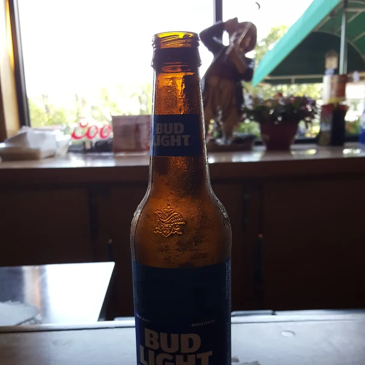 Ice Cold Beer