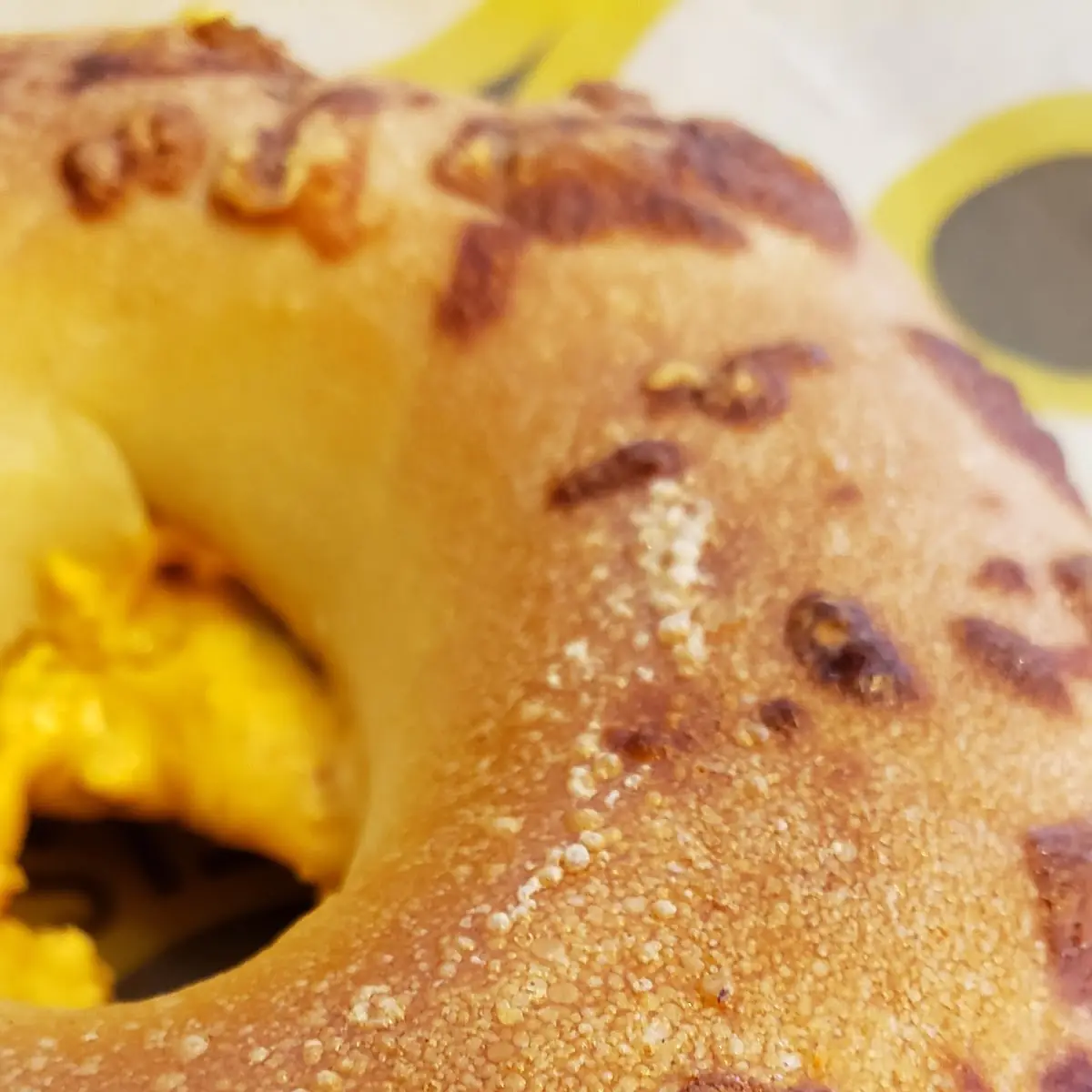 Asiago Bagel