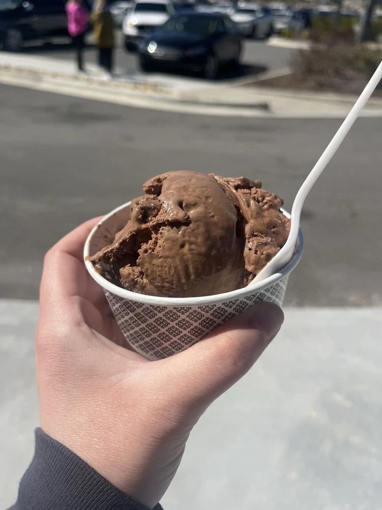 Chocolate Ice Cream