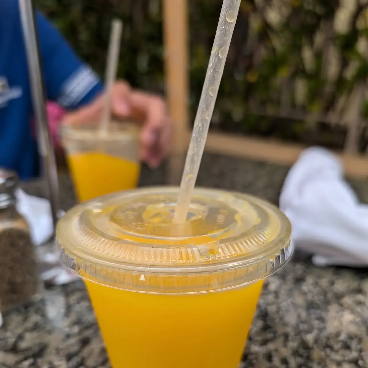 Freshly Squeezed Orange Juice