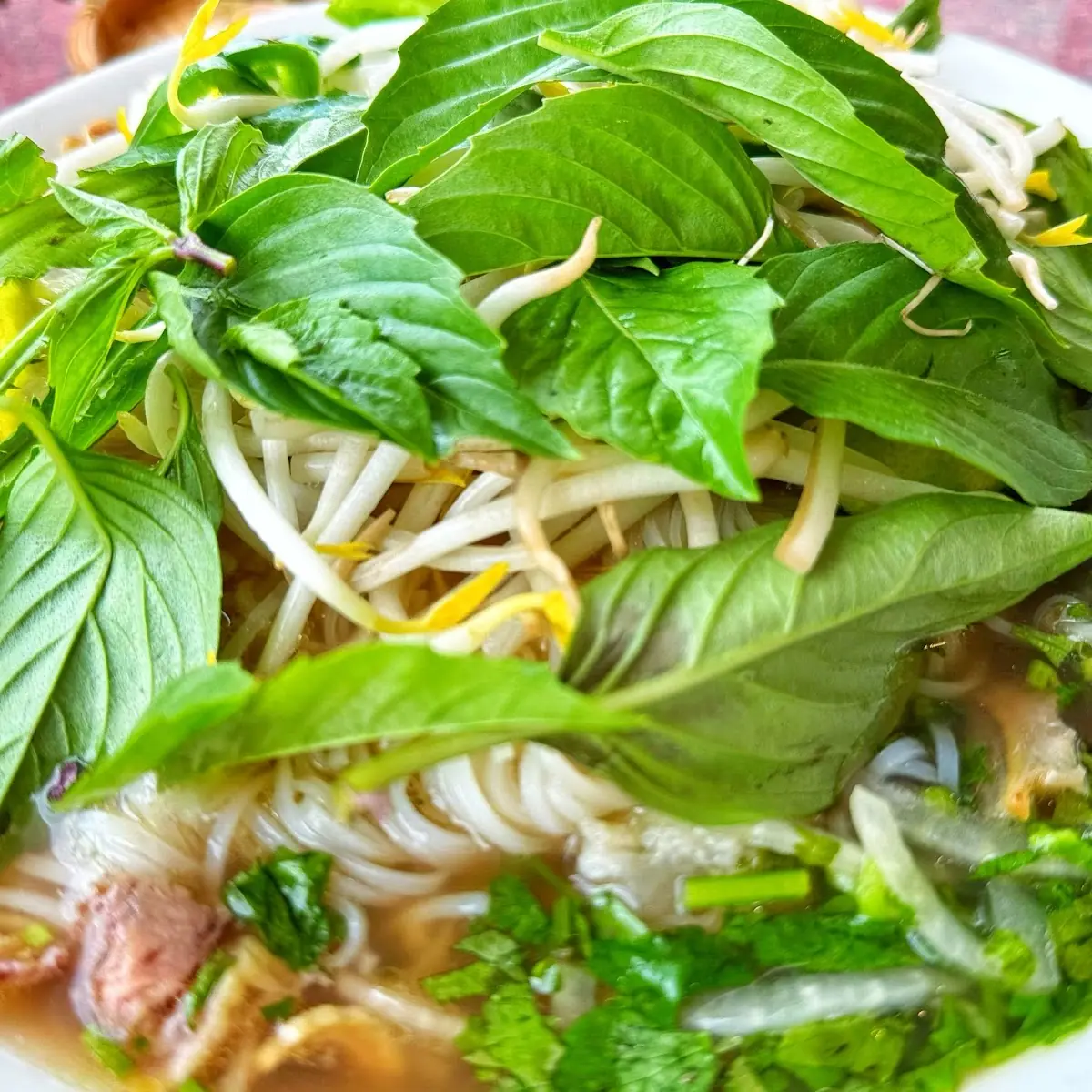 Pho GA