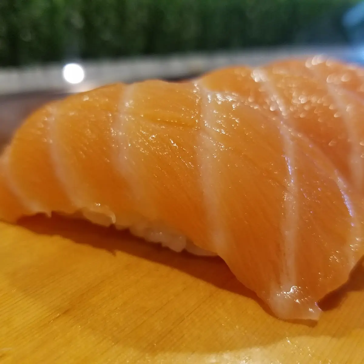 Salmon Belly