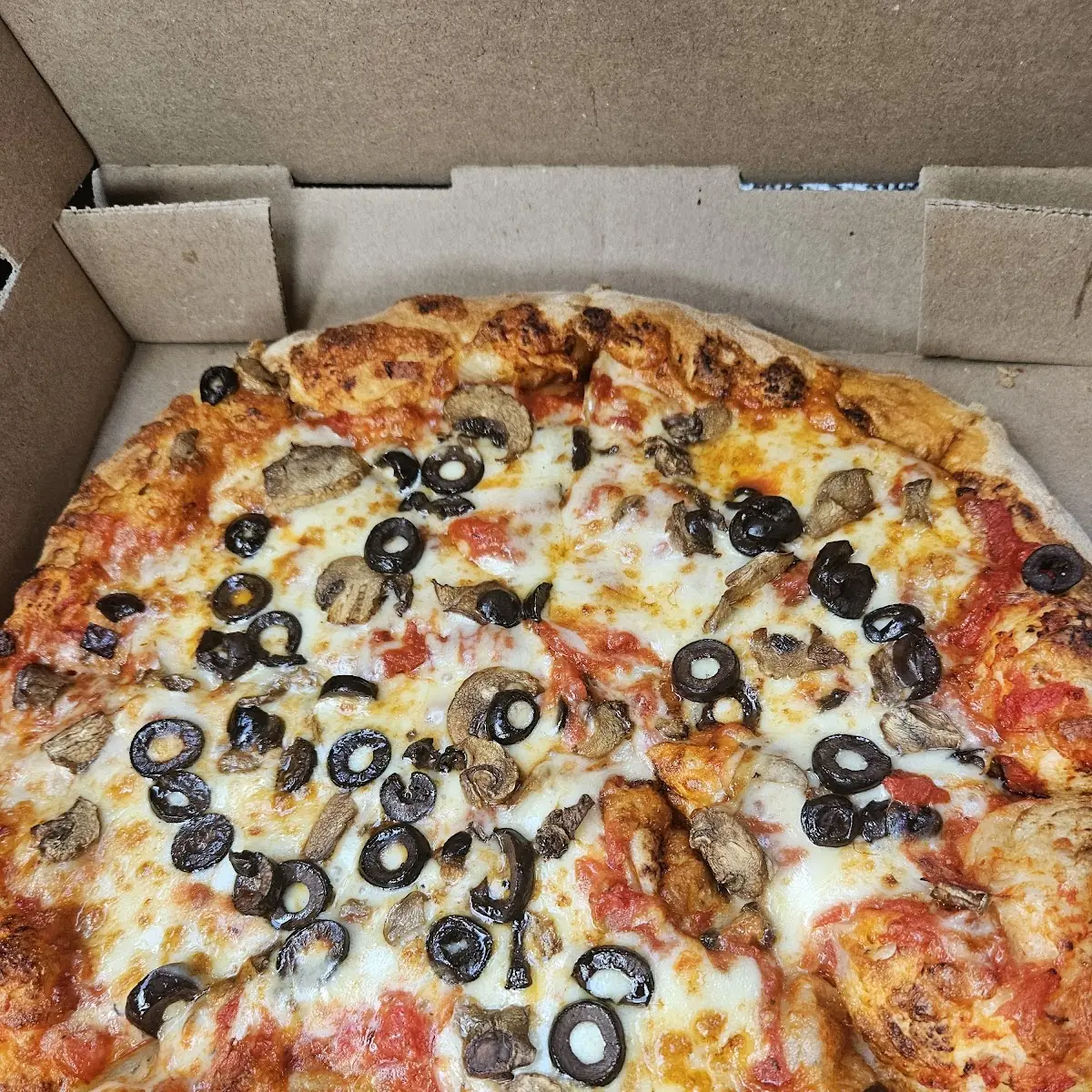 Mushroom Black Olive Pizza