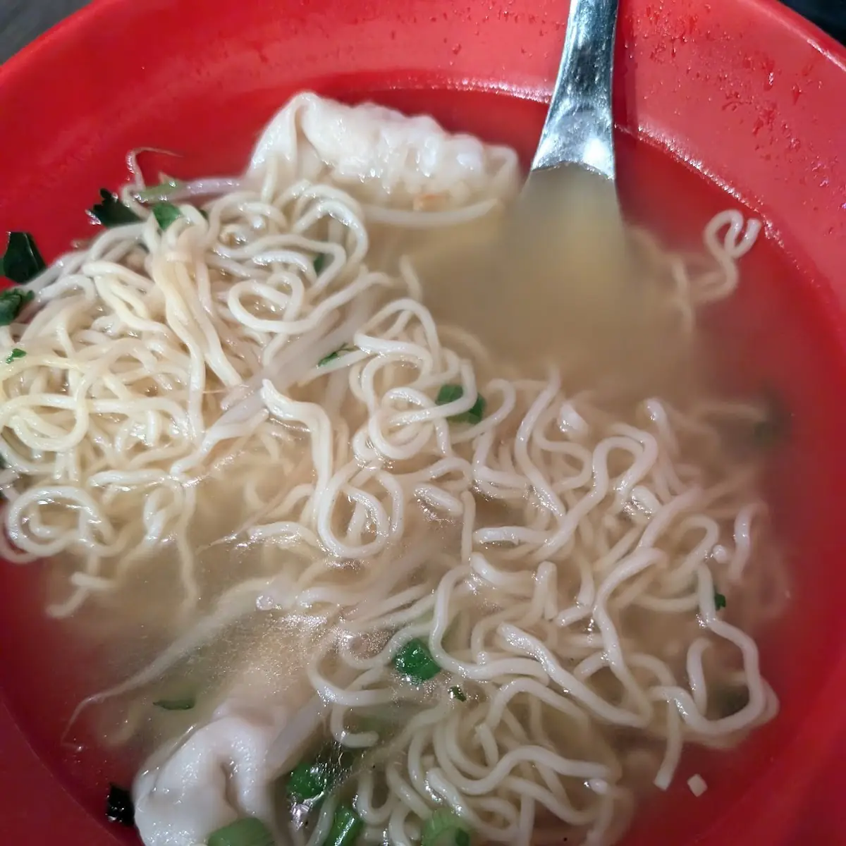 Chicken Wonton Ramen
