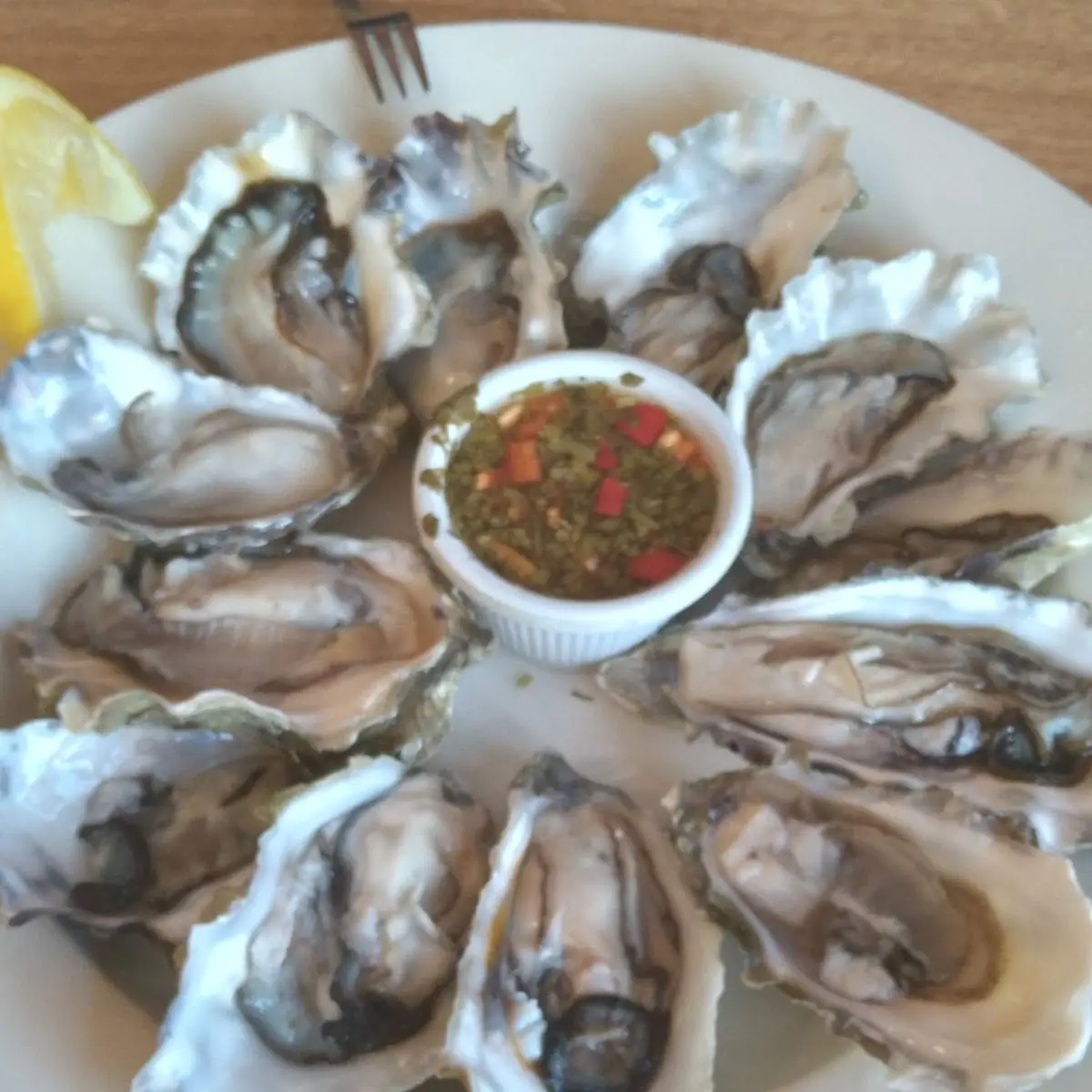 Oysters in Half Shell