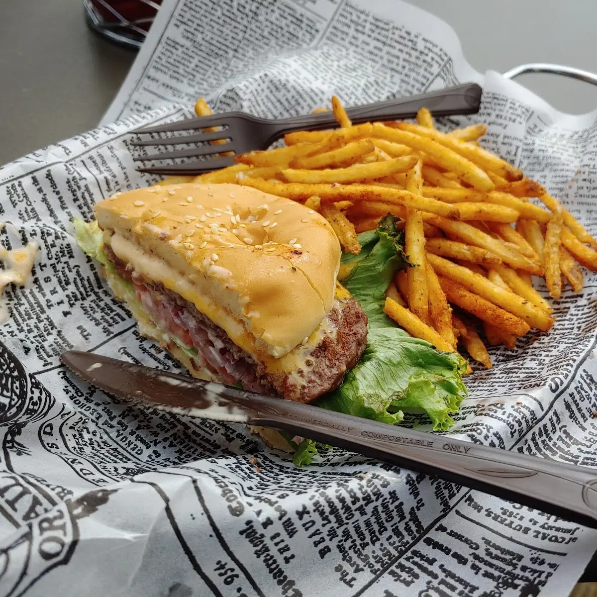 Cheese Burger and Fries