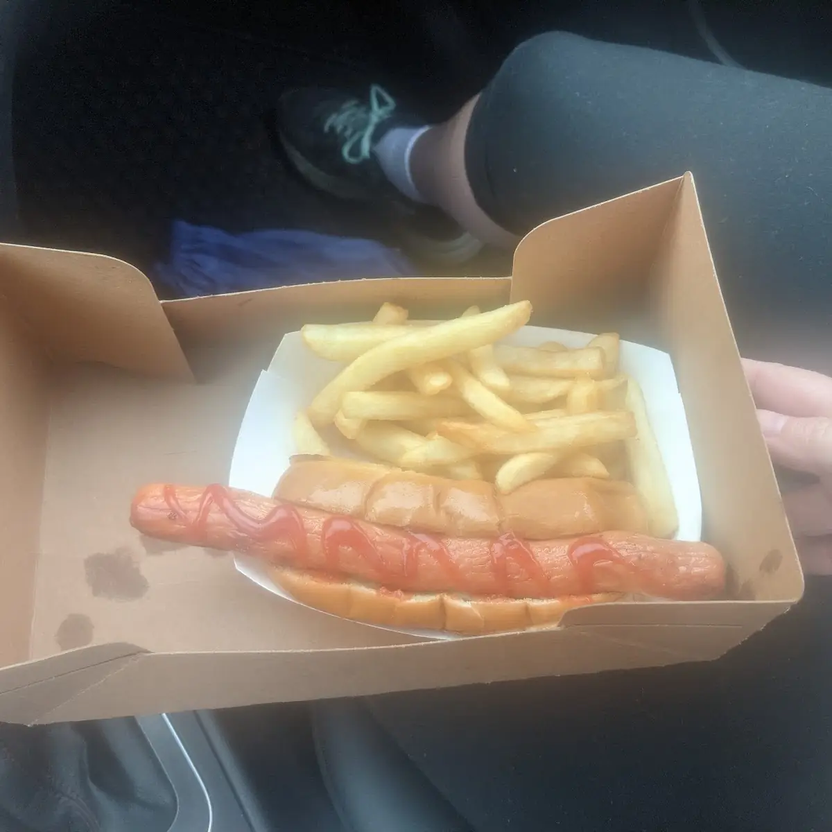 Hot Dog and Fries