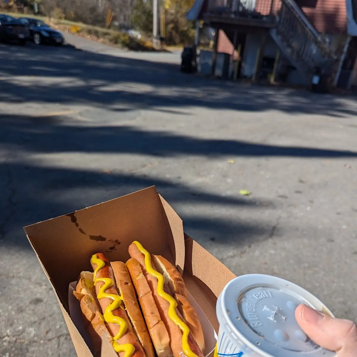 Lee's Special 2 Hot Dogs and Small Soda