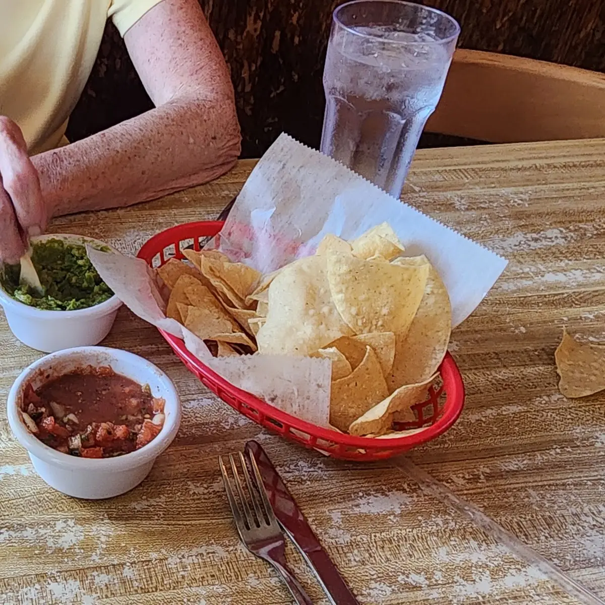 Chips Pico and Guacamole