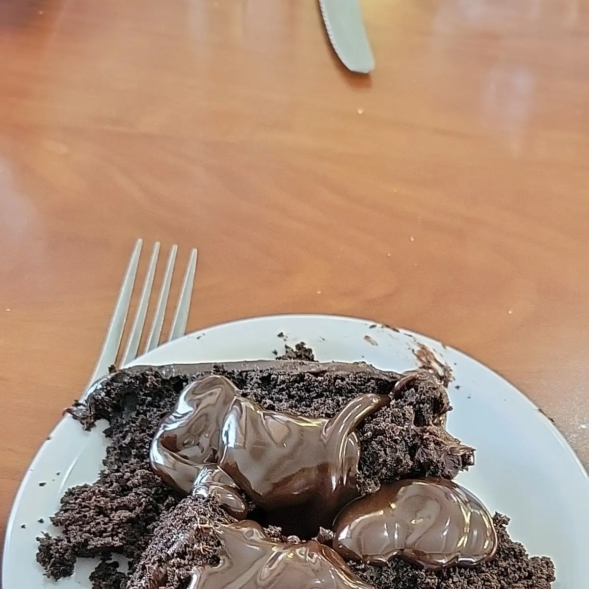 Chocolate Cake with Fudge