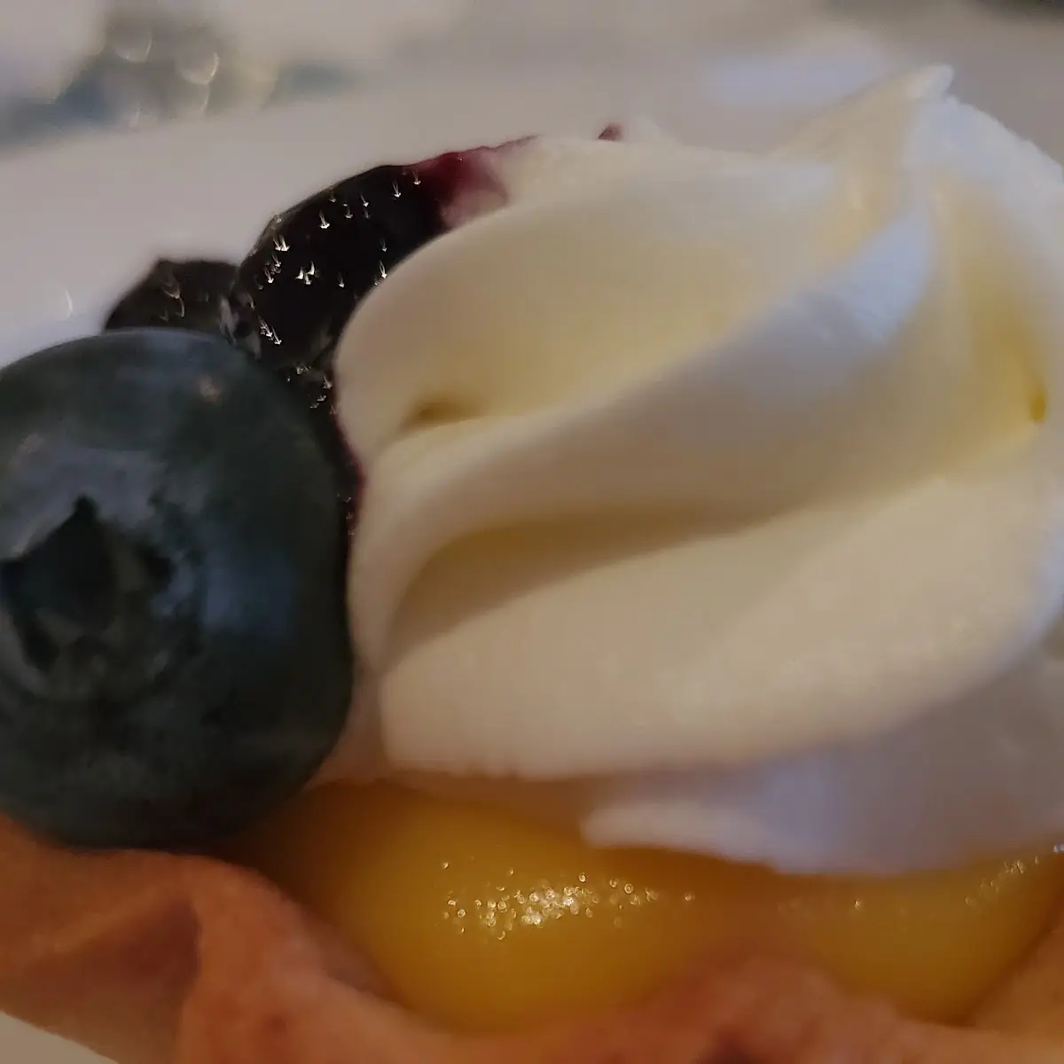 Lemon Blueberry Torte