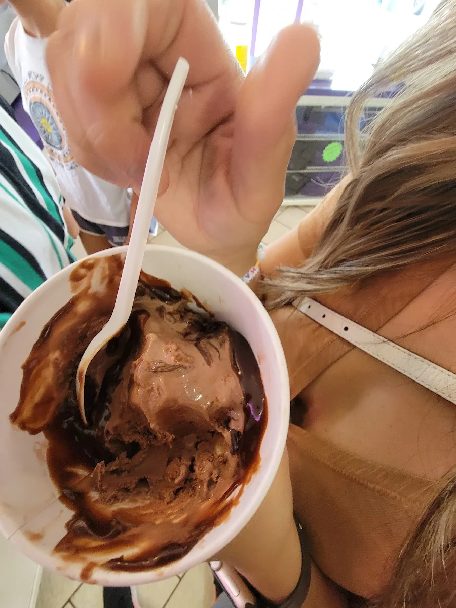 Chocolate Ice Cream