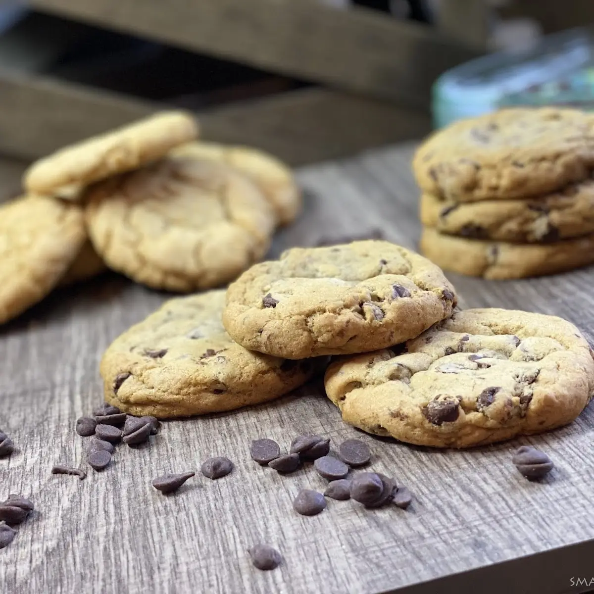 Chocolate Chip Cookie