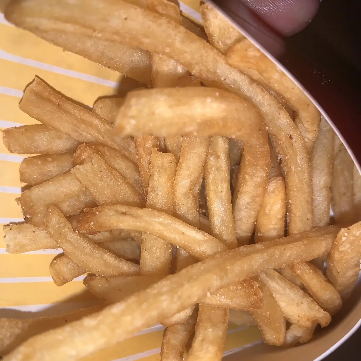 World Famous Fries