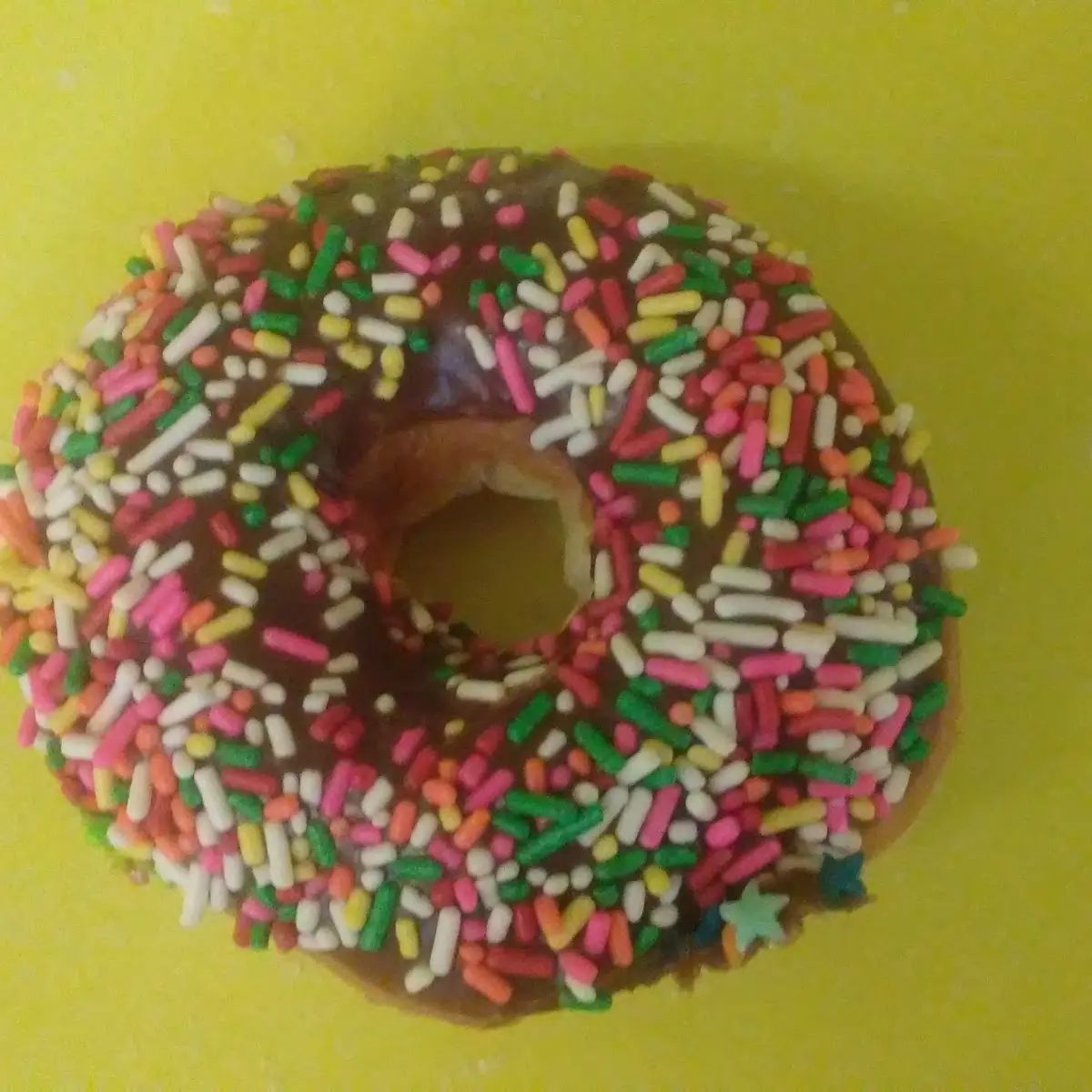 Doughnut