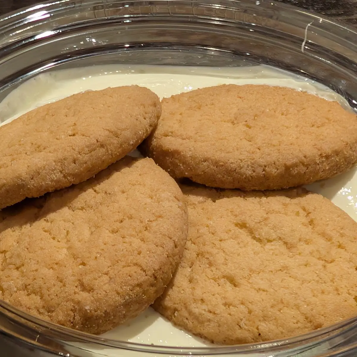 Sugar Cookie