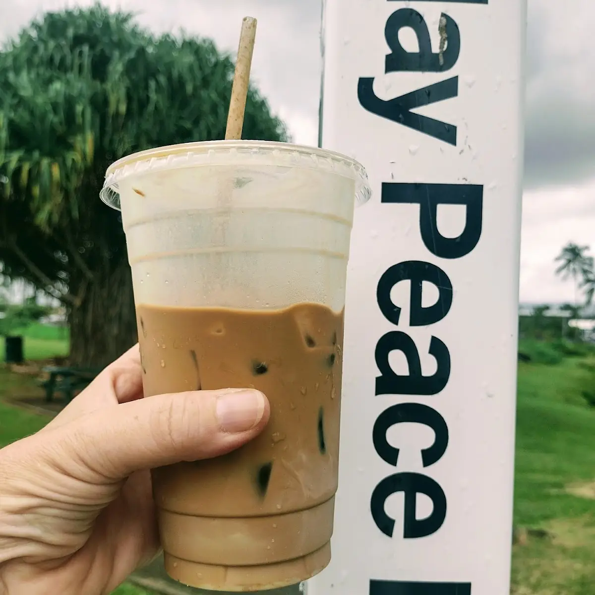 Vietnamese Iced Coffee