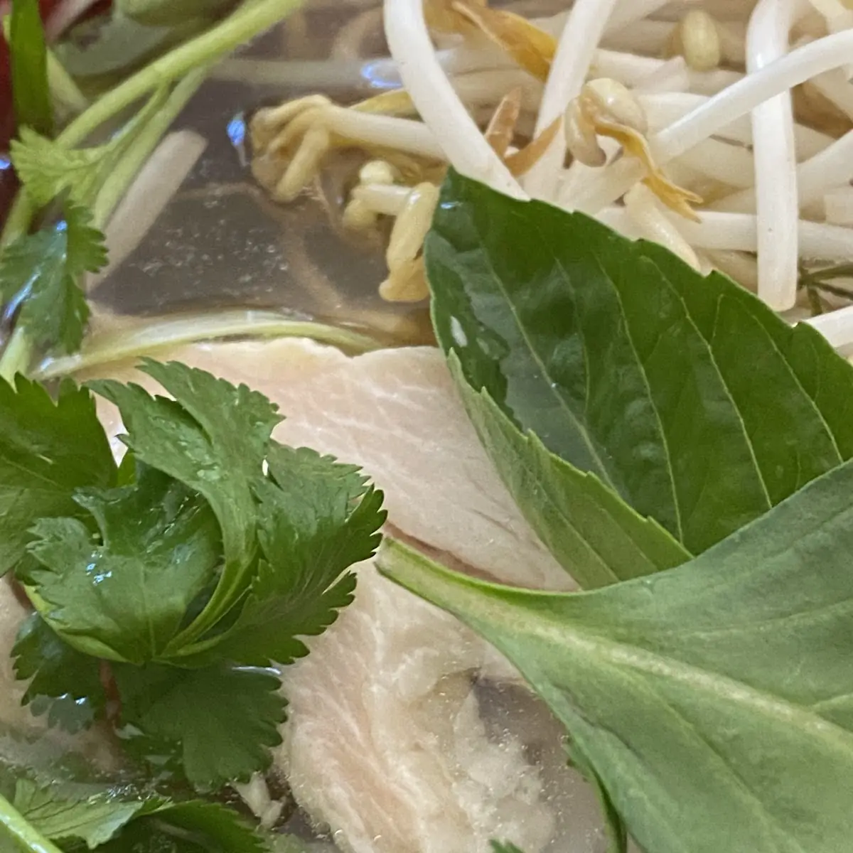 Chicken Pho