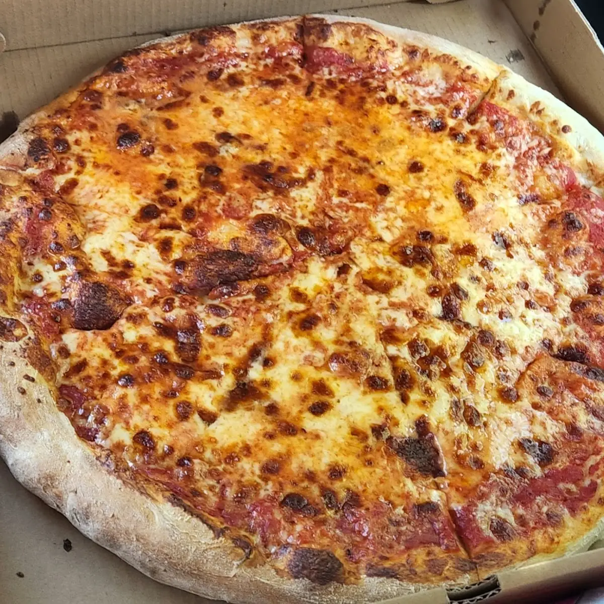 Large Cheese Pizza