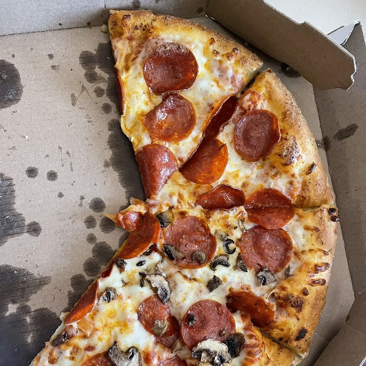 Hand Tossed Pizza