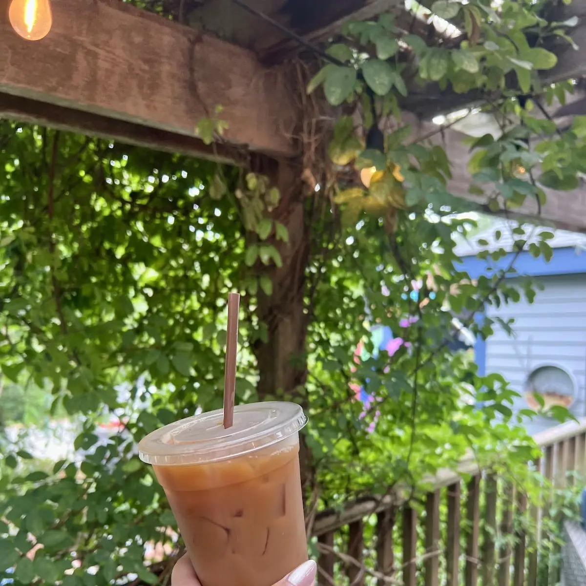 Freshly Brewed Iced Coffee