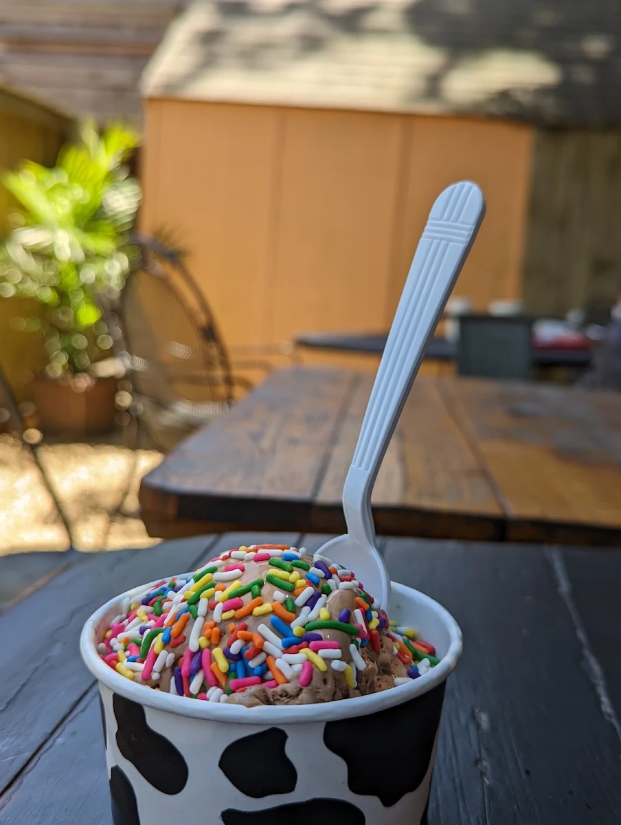 Chocolate Ice Cream and Sprinkles