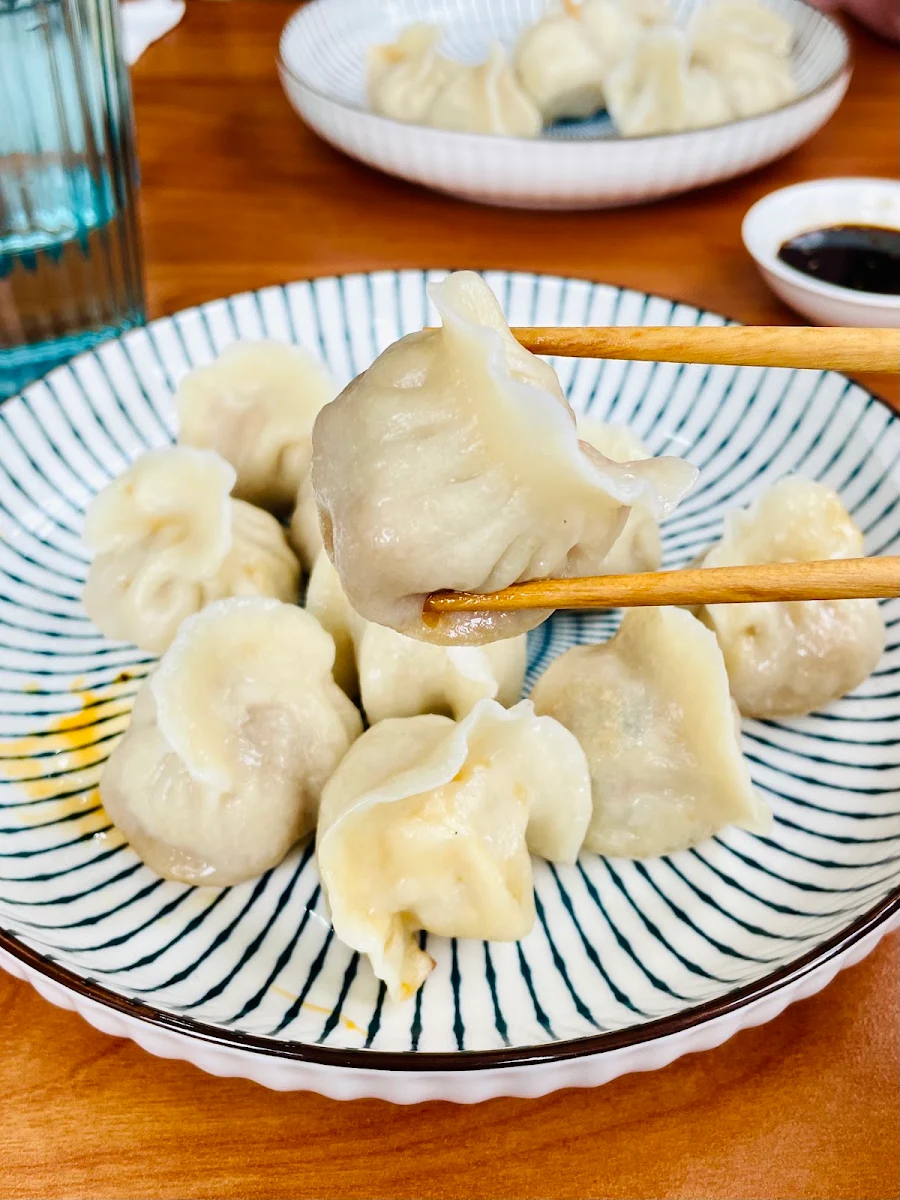 Pork Dumplings