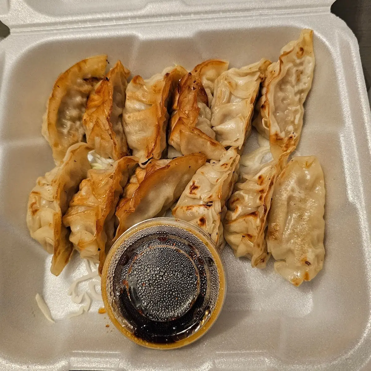 Gyoza Dumplings