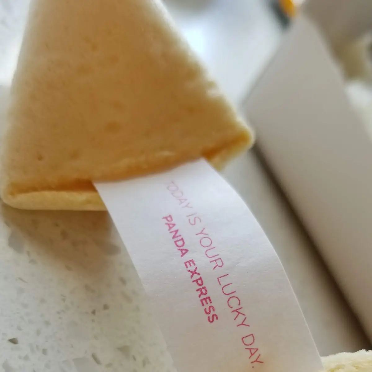 Fortune Cookie