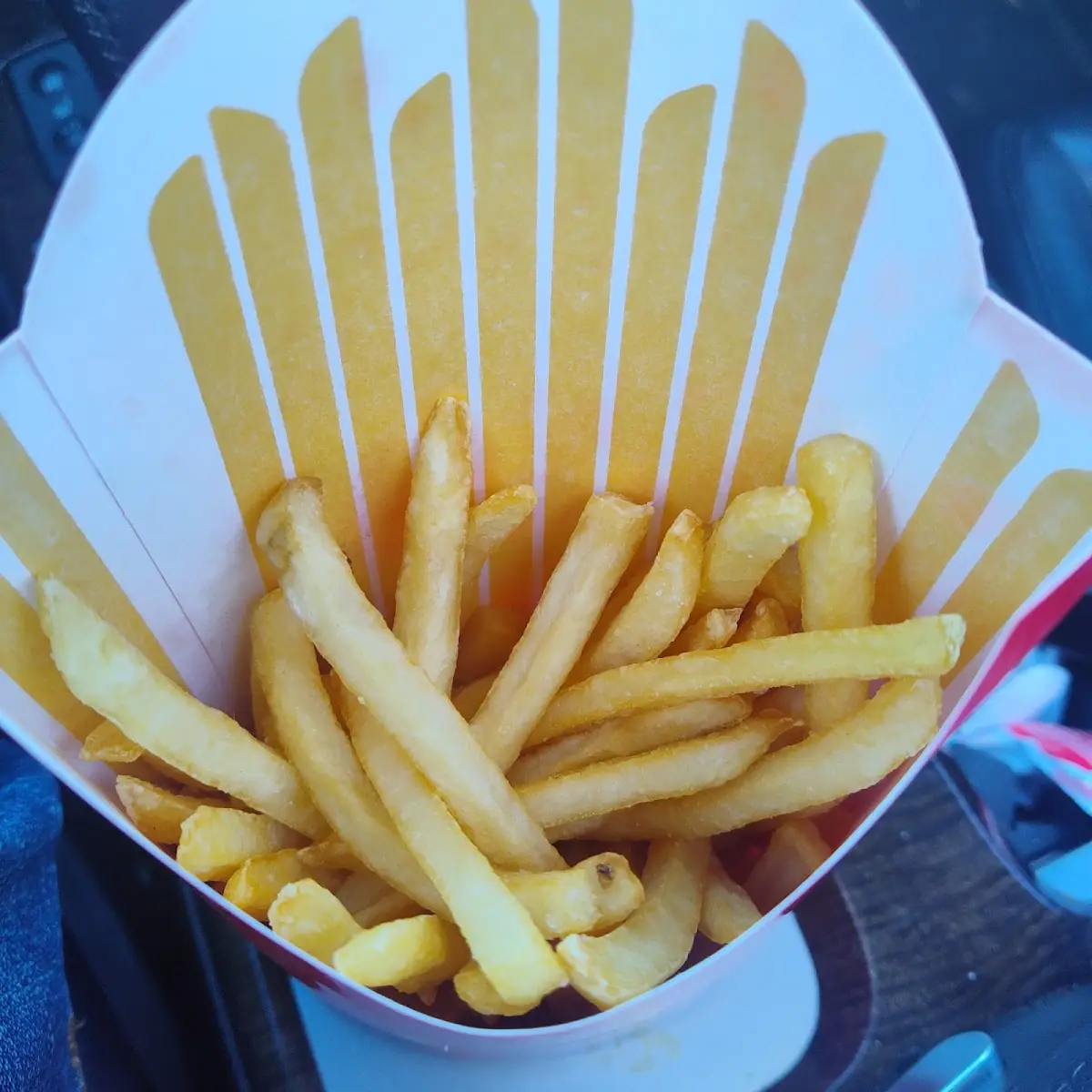 World Famous Fries