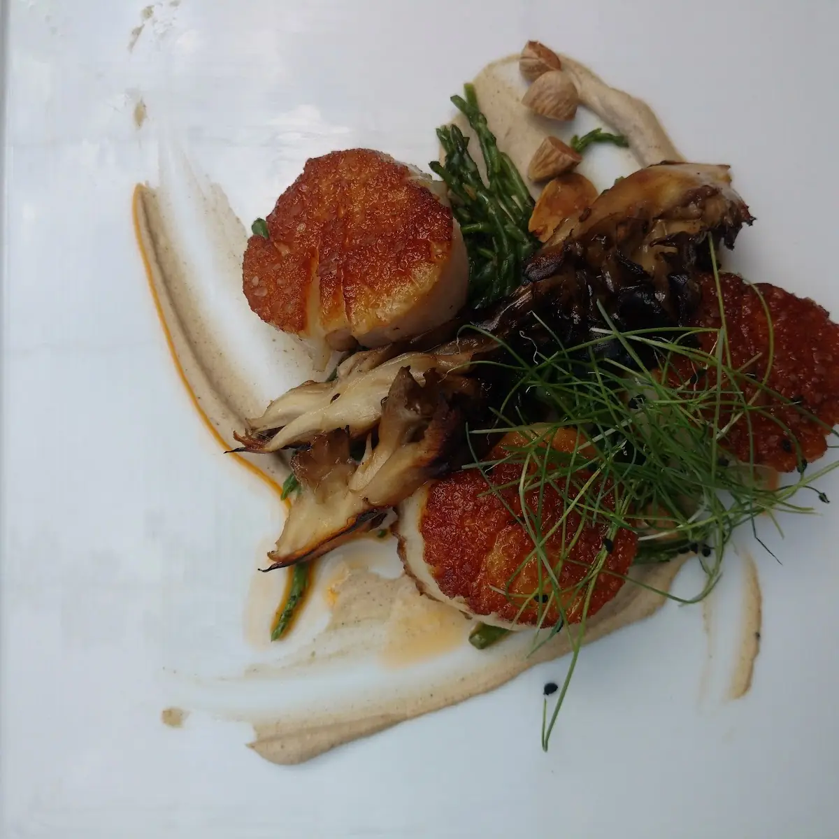 Scallops and Wild Mushroom