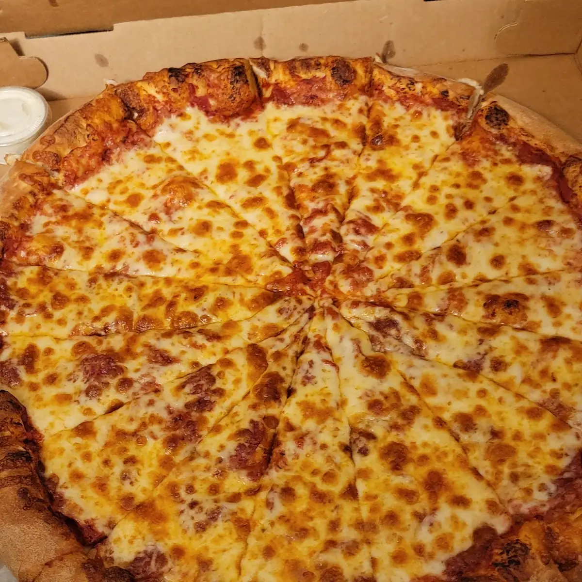Half Plain Half Pepperoni Pizza