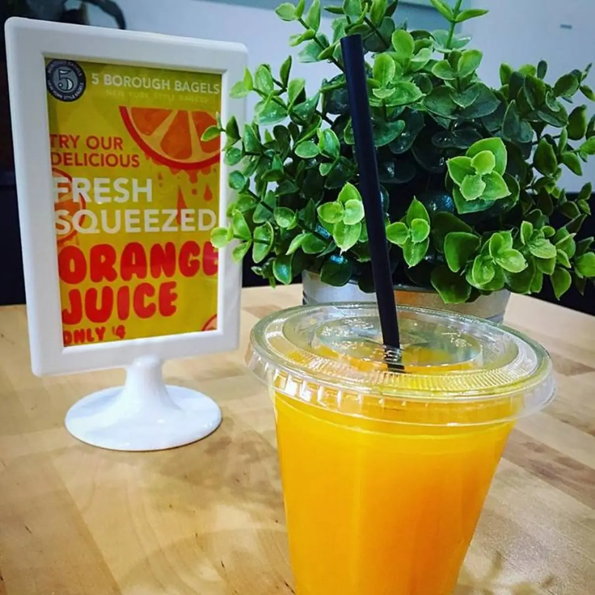 Fresh Squeezed OJ
