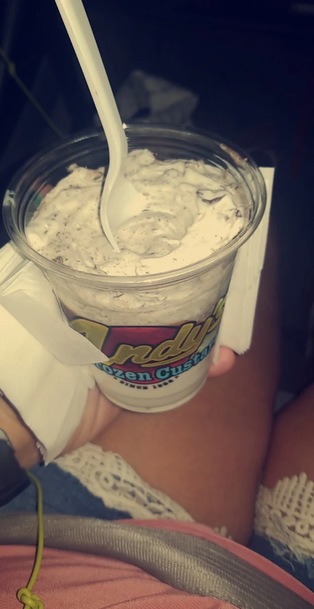 Mint Chocolate Chip Custard