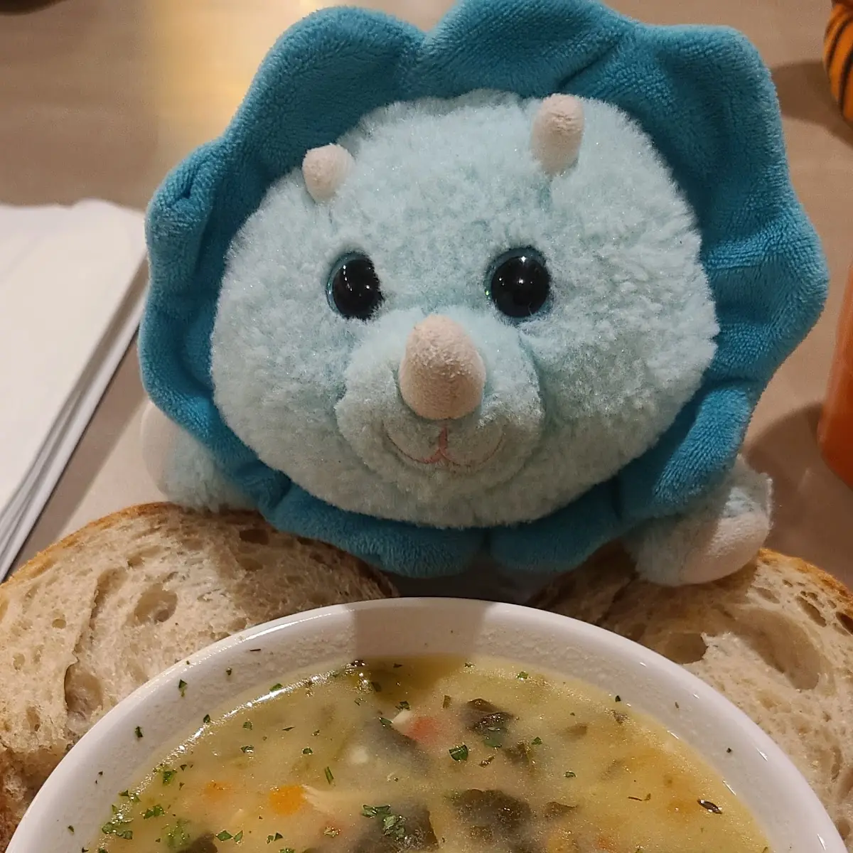 Chicken Soup