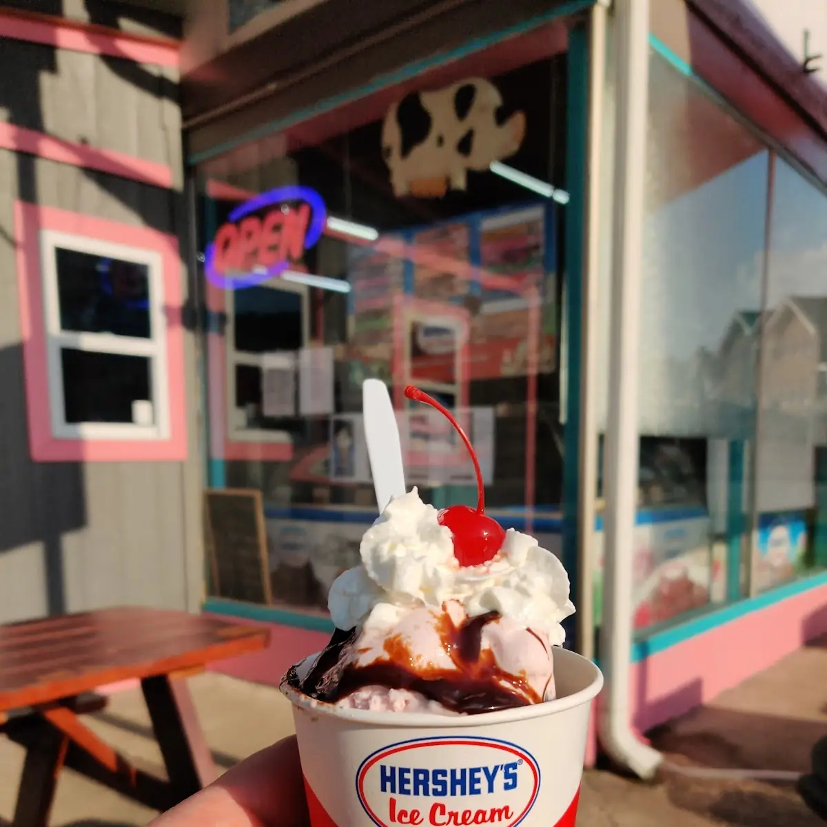 Black Cherry Chip Sunday