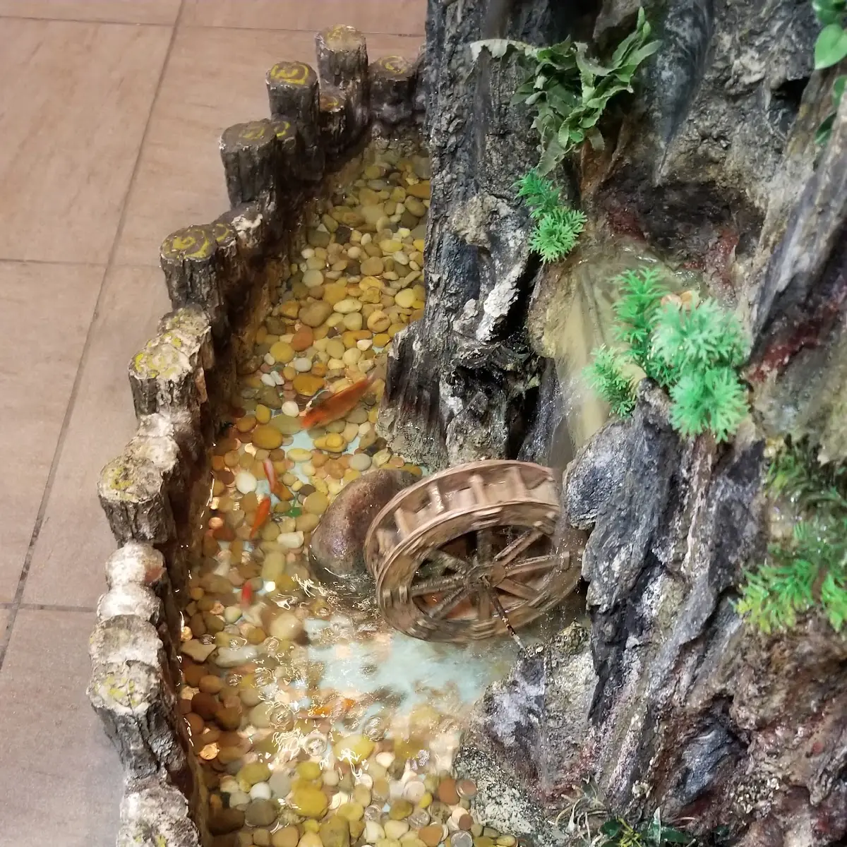 Fish Pond Up Front