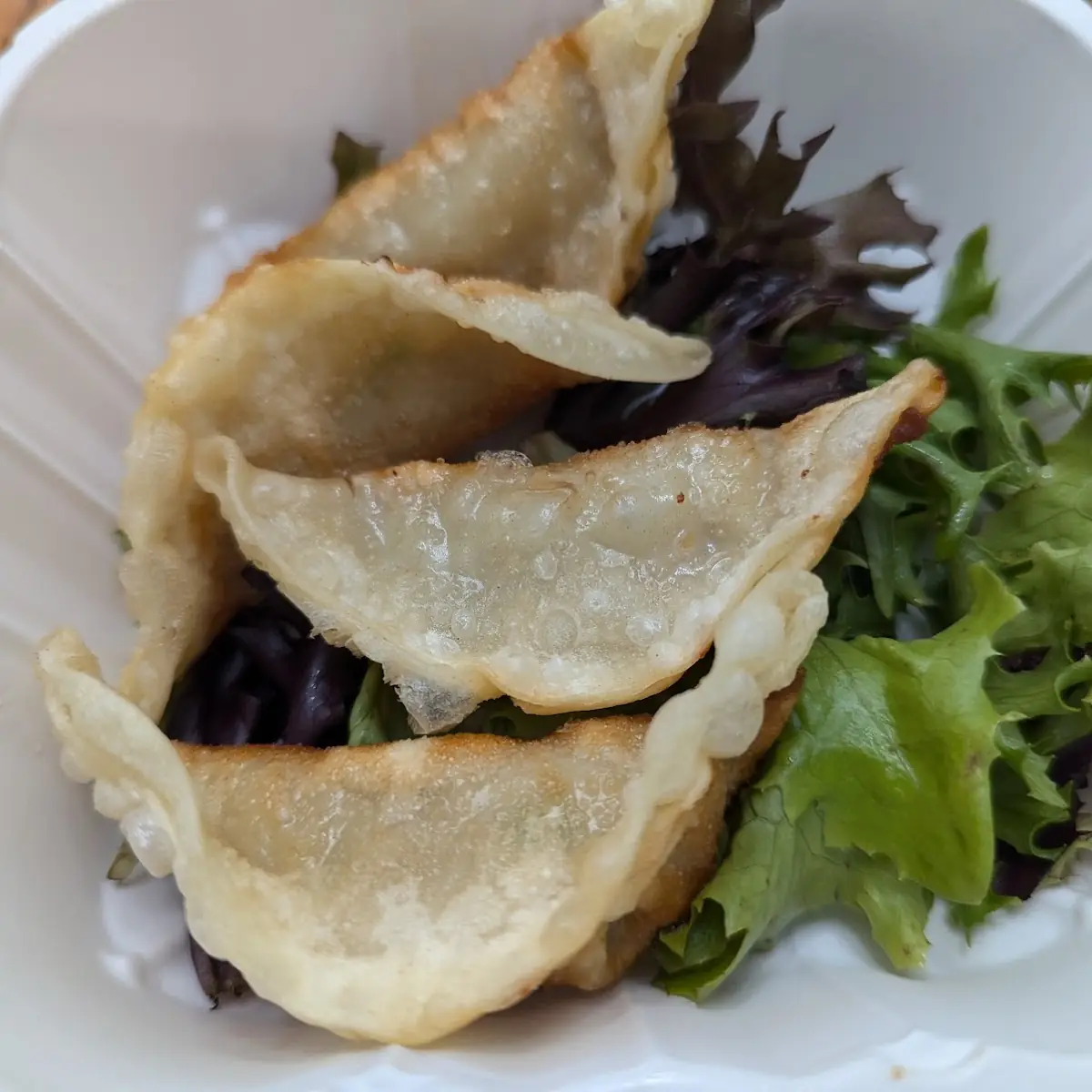 Fried Dumplings 4