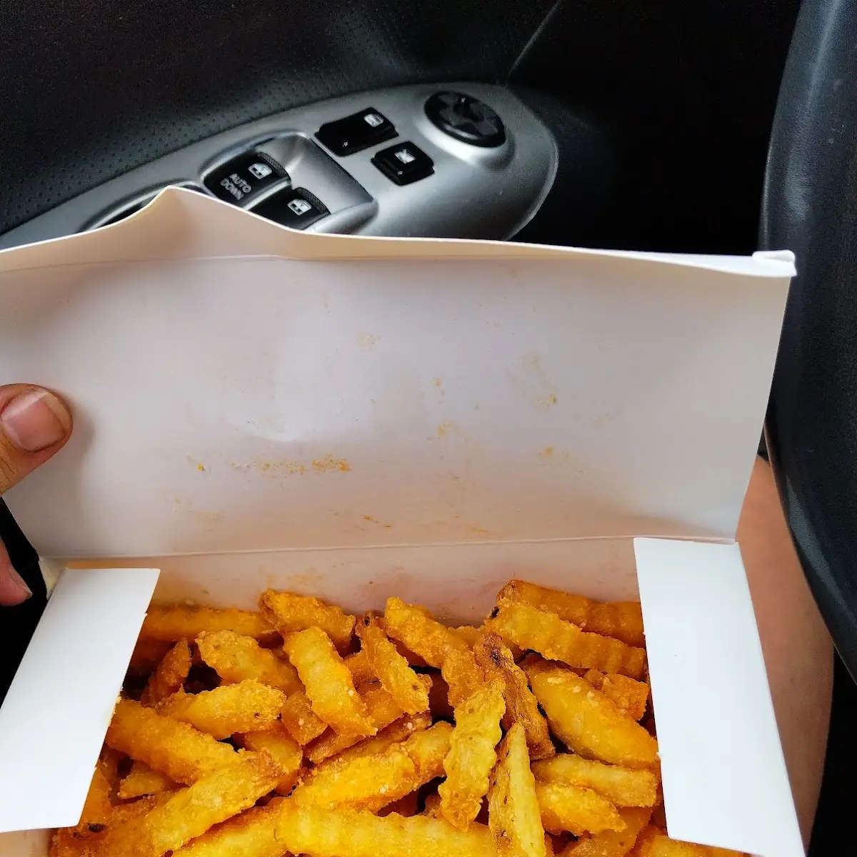 Snow Cheese Fries