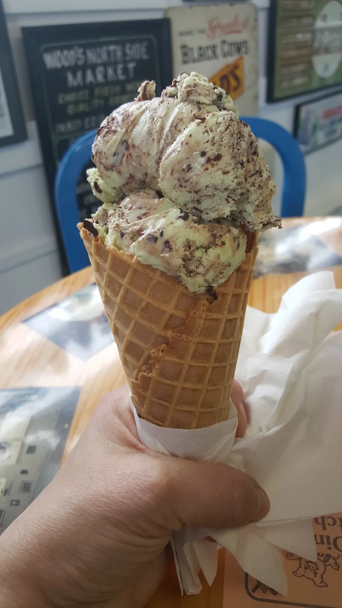 Mint Chocolate Ice Cream Cone