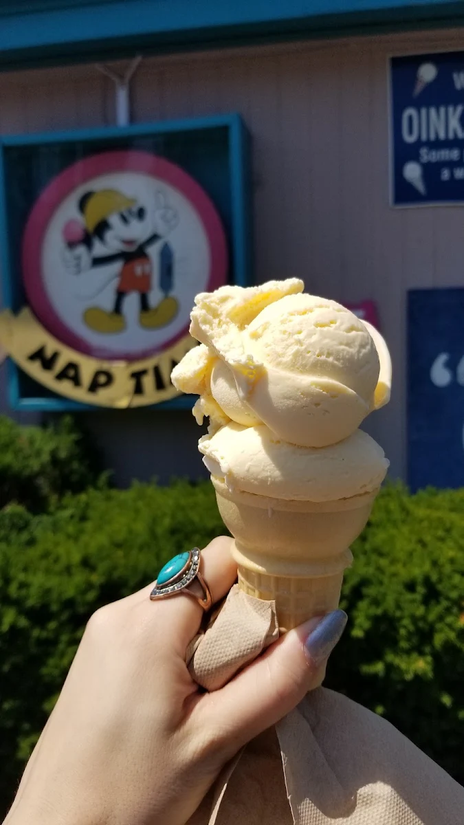 Vanilla Ice Cream Cone