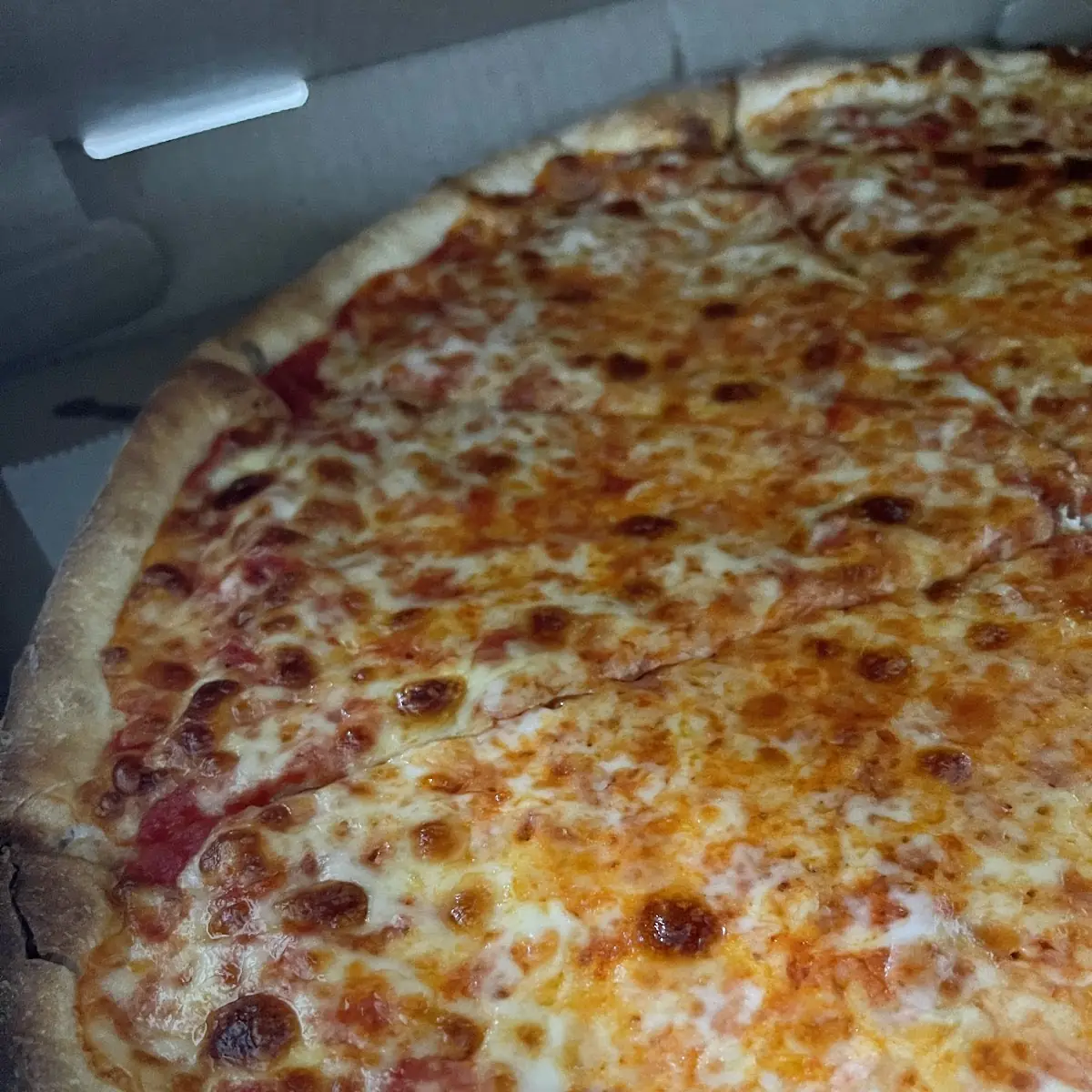 Large Cheese Pizza