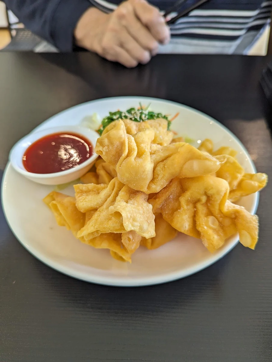 Crispy Wonton 10pcs, Veggie Chef